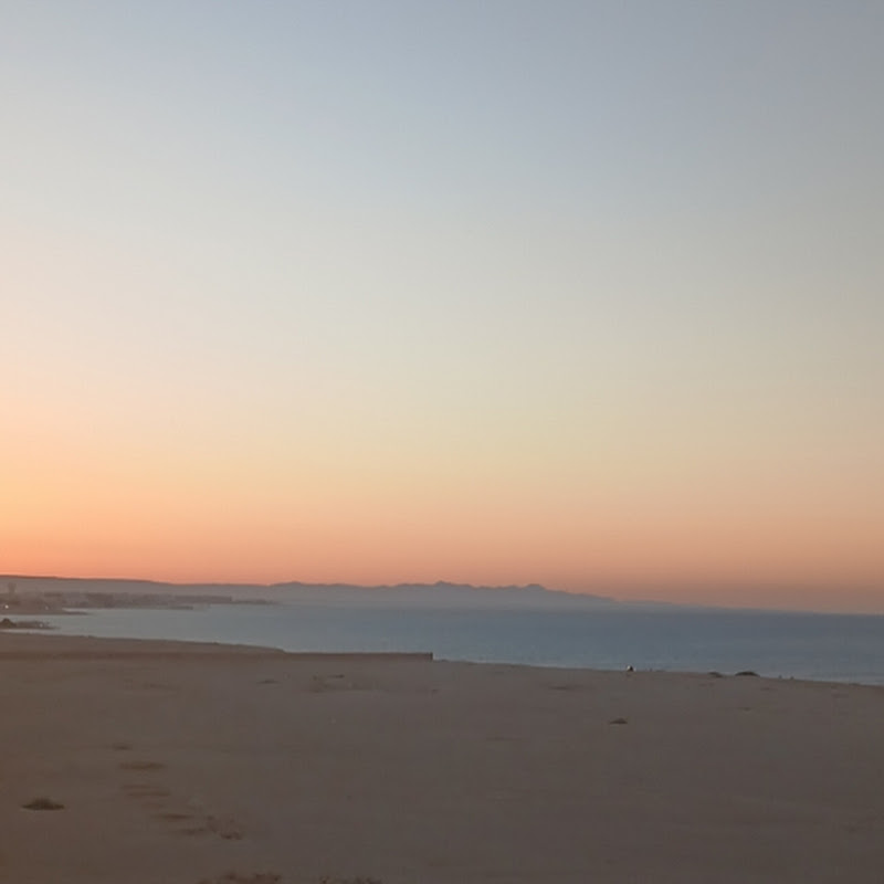 Rahed_Imjalli