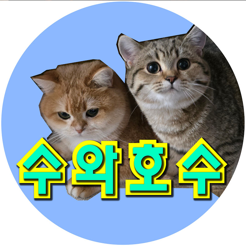 수와호수스와호수