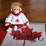 Zedrix   A.K.A. Zed   🙉🙈🙊