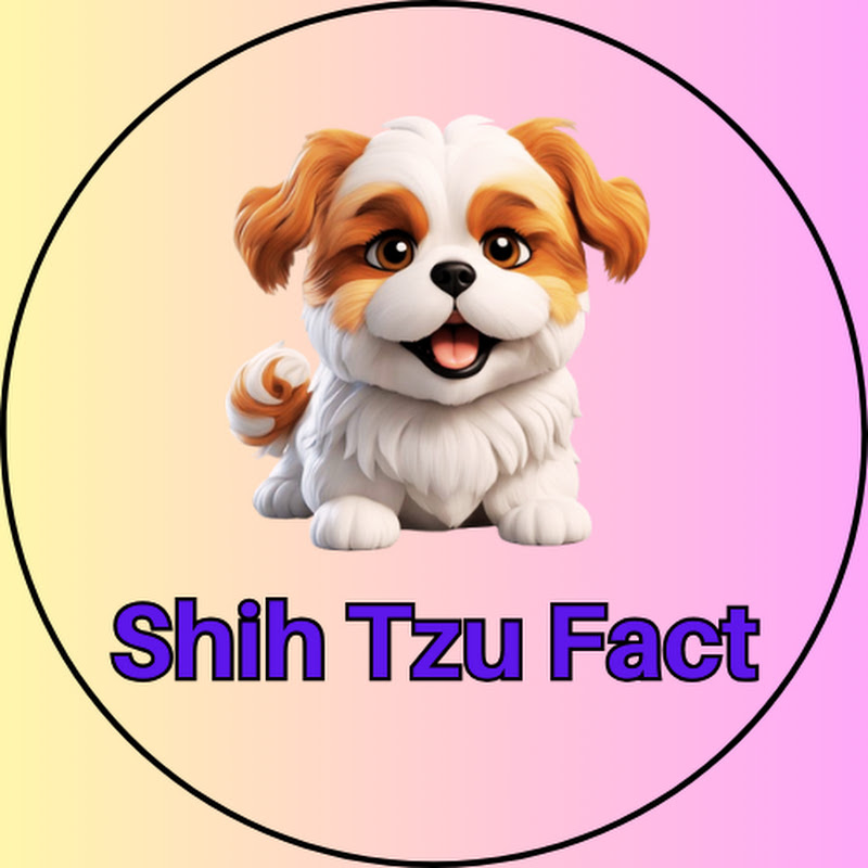 Shih Tzu Fact