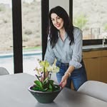 Kellie Reynolds | Interior Designer