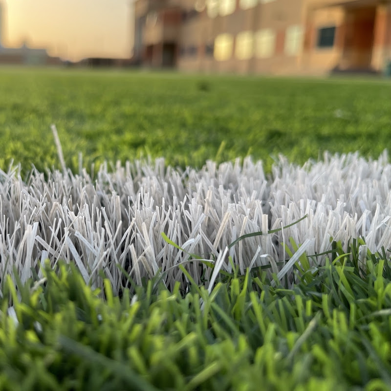 منوعات ثقافية ورياضية