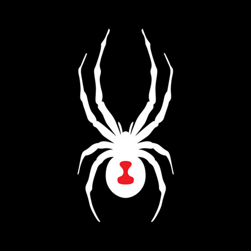 SPYDER KOREA SPYDER KOREA