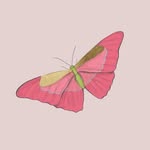 Mimi La Receta Casera ®