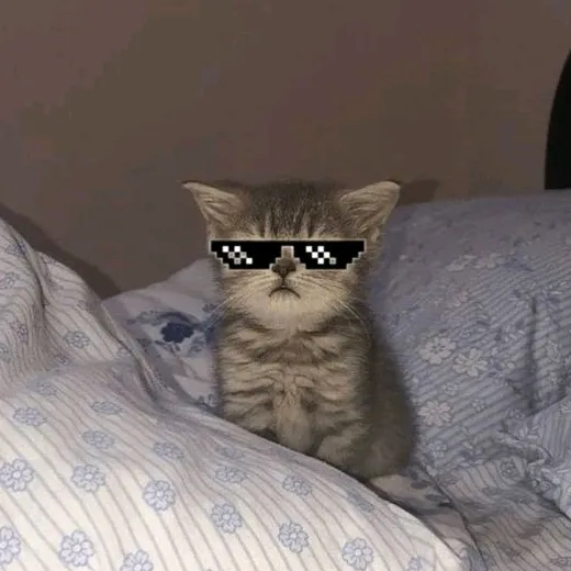 𝘾.𝘼𝙡𝙚𝙭𝙖𝙣𝙙𝙚𝙧