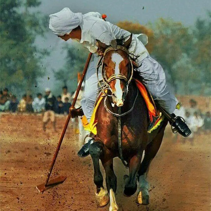 MUHAMMAD SHOAIB