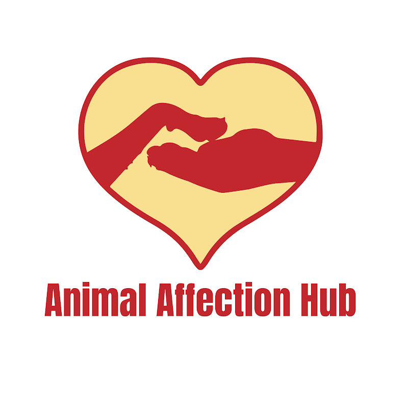 Animal Affection Hub