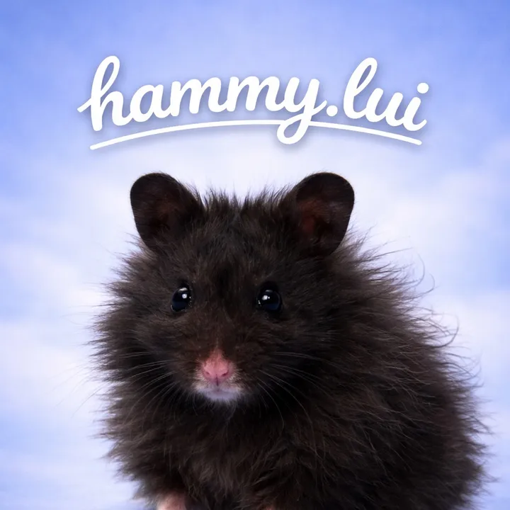 Lui💌