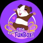 Guinea Pig FunBox
