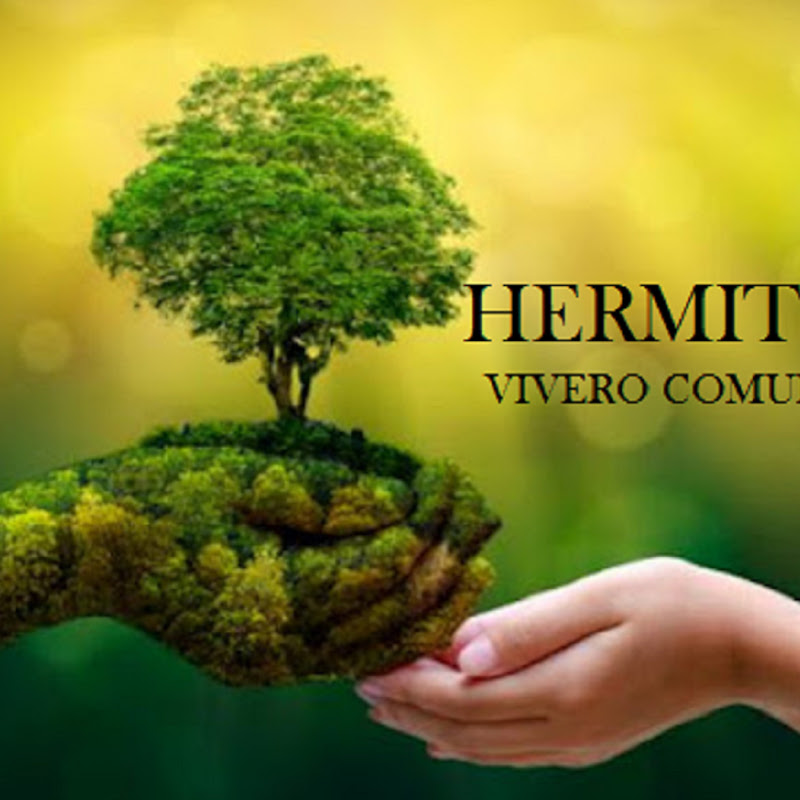 HERMITOÑO