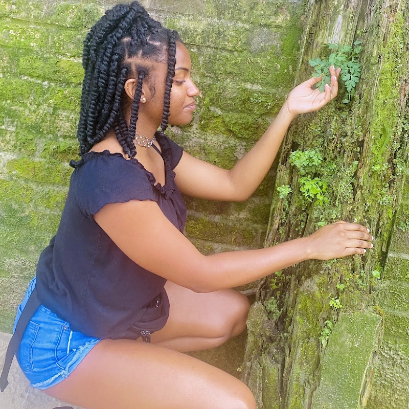 🦋 TheVídaDiaries 🦋