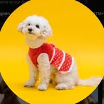 Quick pet care tips🐶