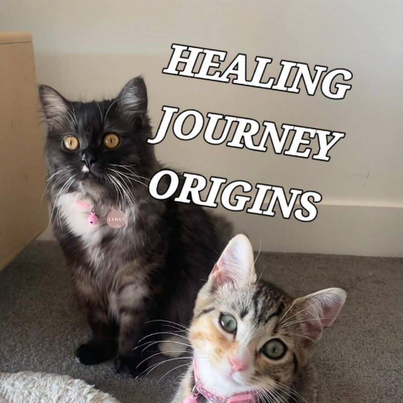 Healing Journey Origins
