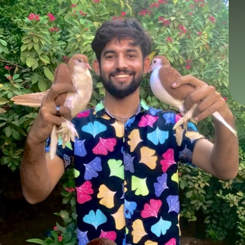 ChhOTA JUNGLEچھوٹا جنگل