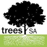 Trees South Africa