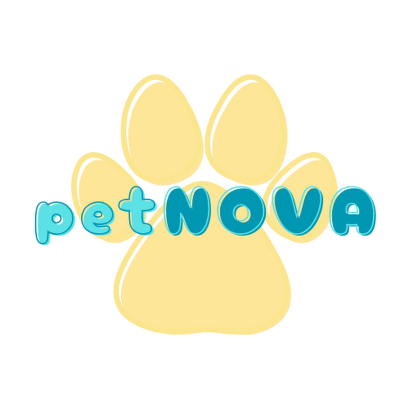 PetNova | Pet Toys & Essentials 