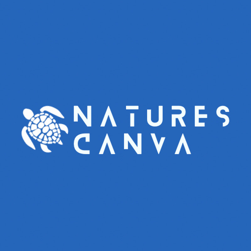 Natures Canva 4k