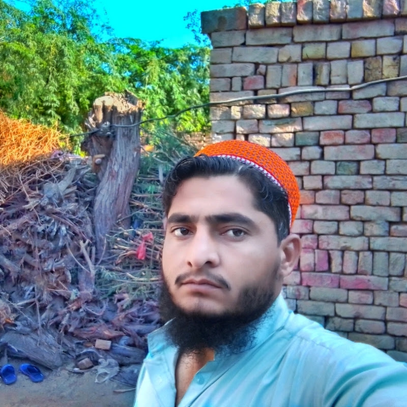 AL Habib Studio