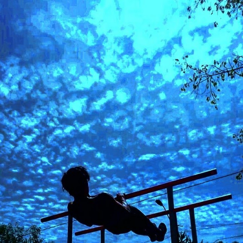 Front Lever FEVER