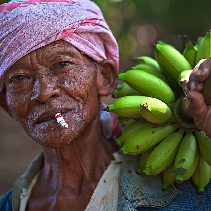 BANANA NEWS UG
