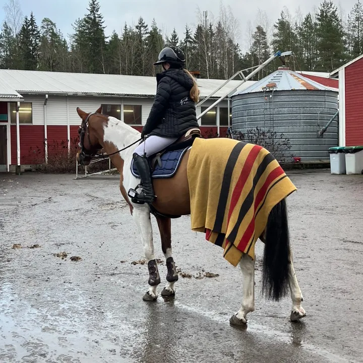 Ainoelina.eq💖