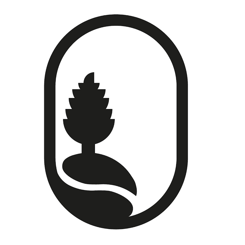 Noj Academy