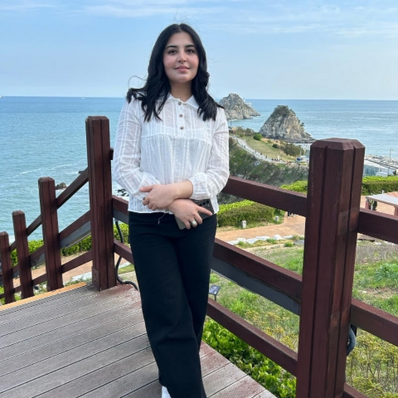 Hasnat khan in korea