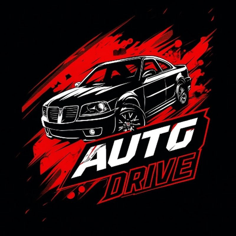 THE AUTO DRIVE