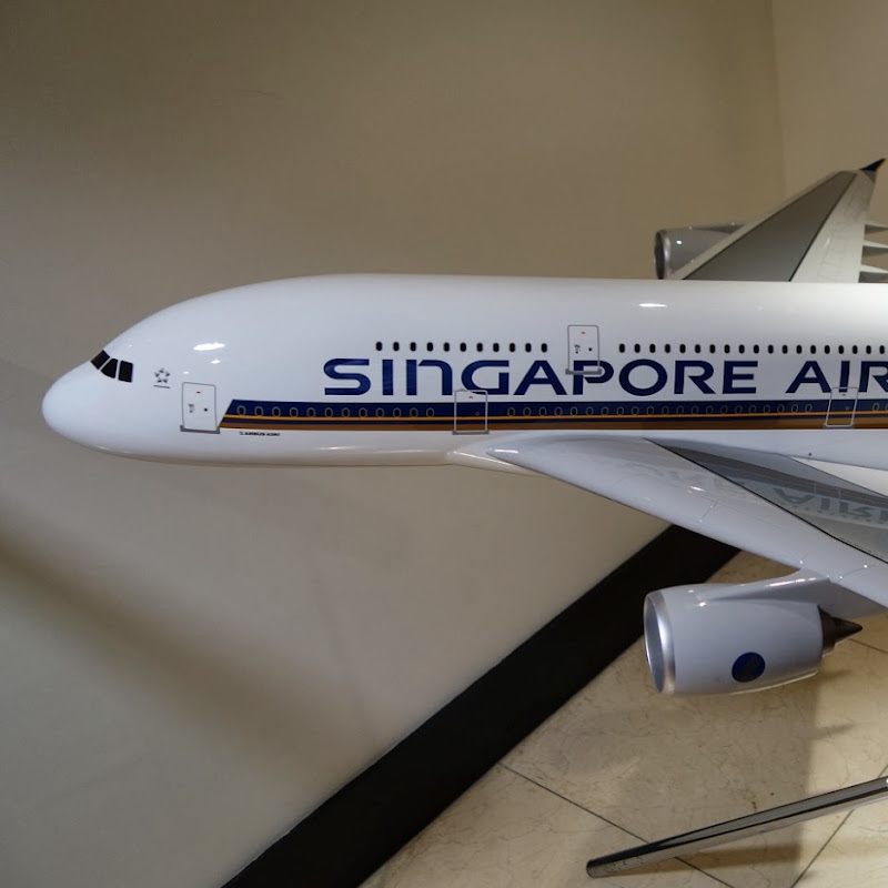 guitar singapore travels Rapture! 