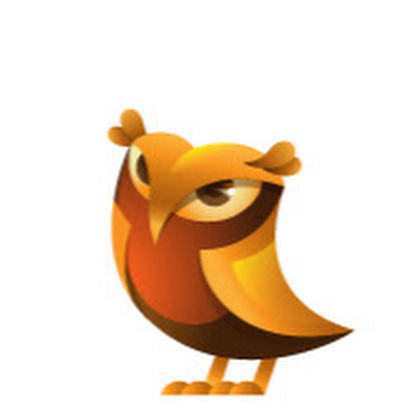 Owlclever 