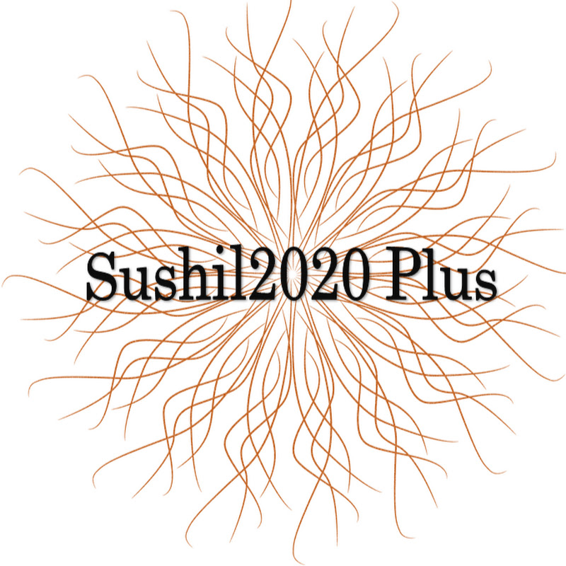 Sushil2020 Plus