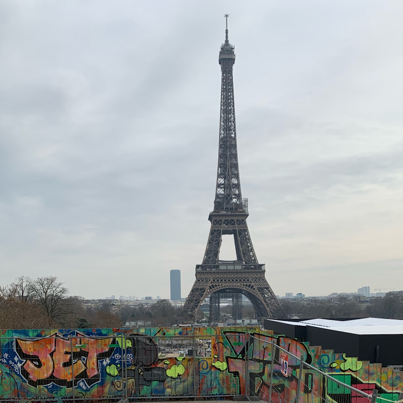 Savannah Dehollander