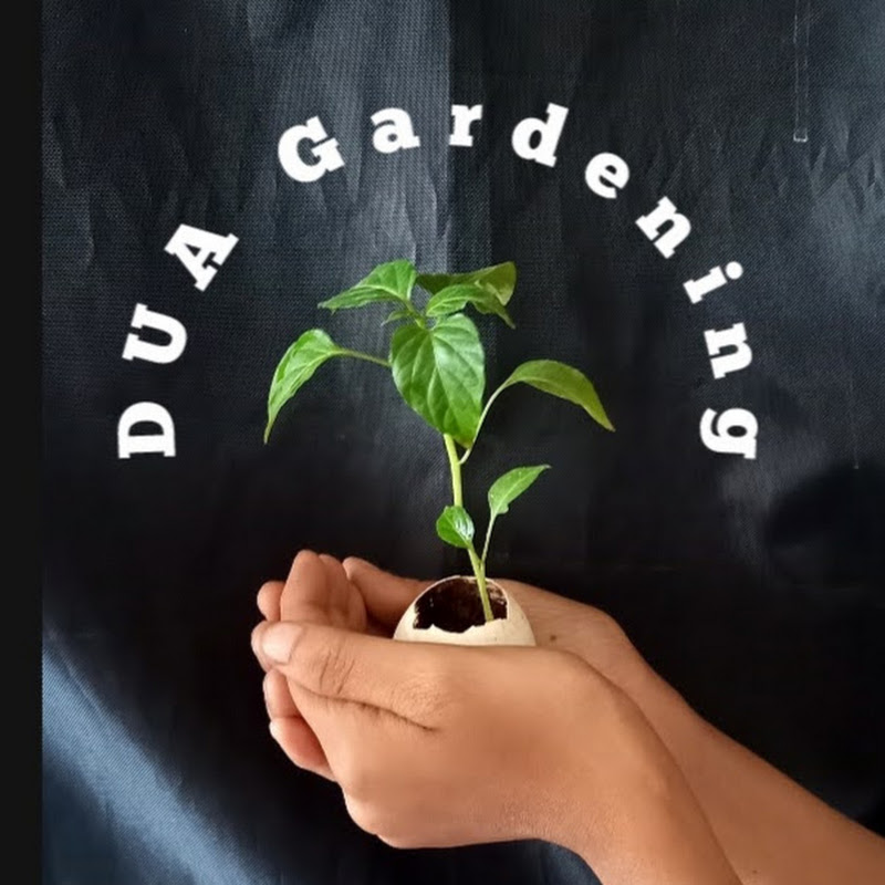 Dua Gardening