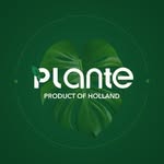 Plante uae