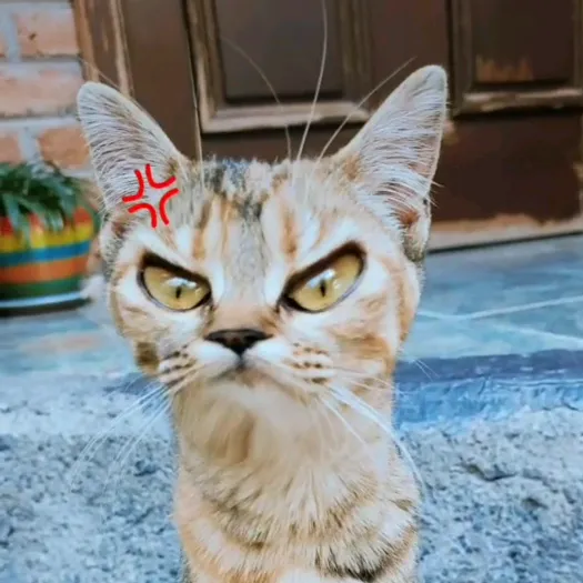 𝓐𝓲𝓭𝓮𝓮