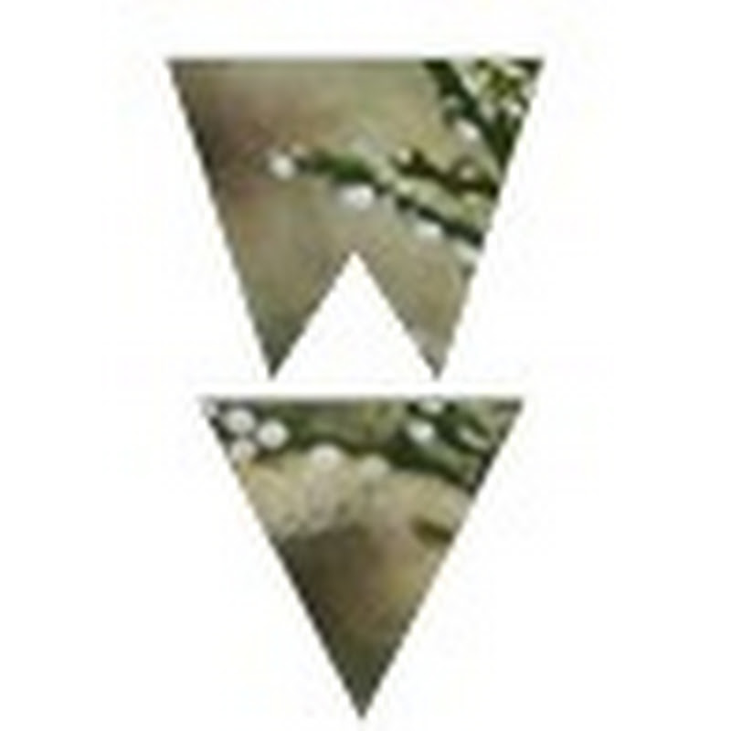Wood Vibes | Piano Relaxing Music