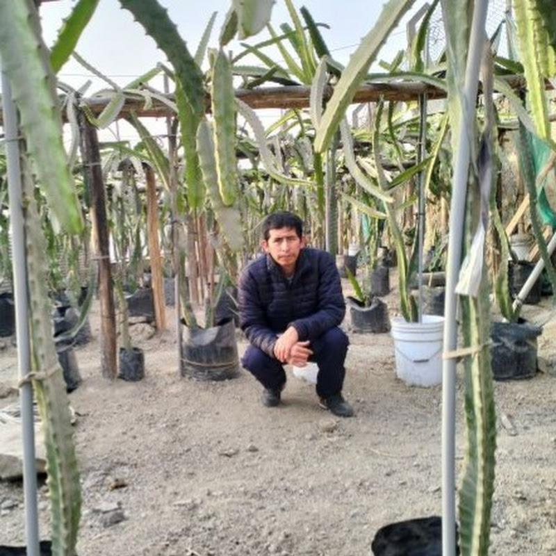 El Huerto de Javiercito