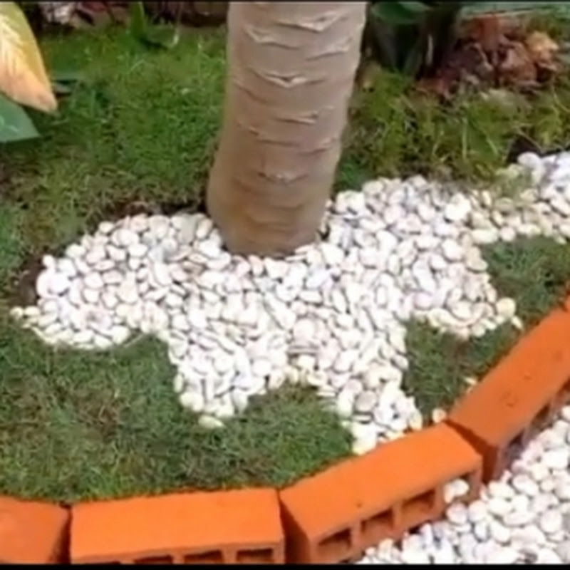 Balcony Garden