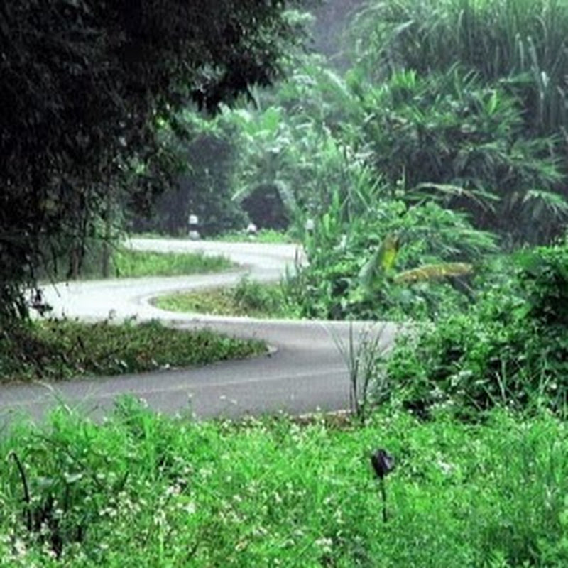 Touring Thailand