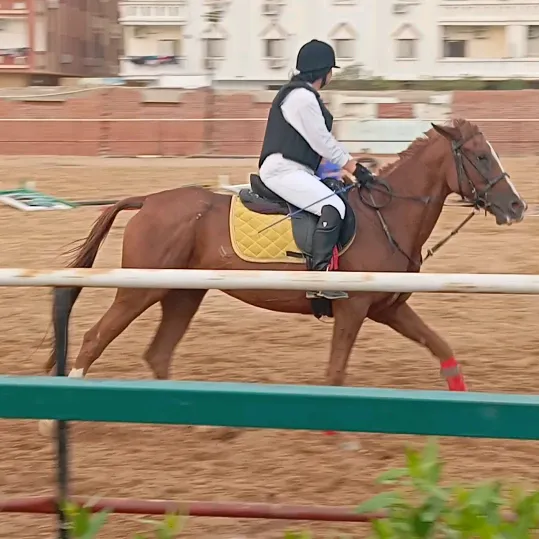 Karina Karim❤️🐴✨