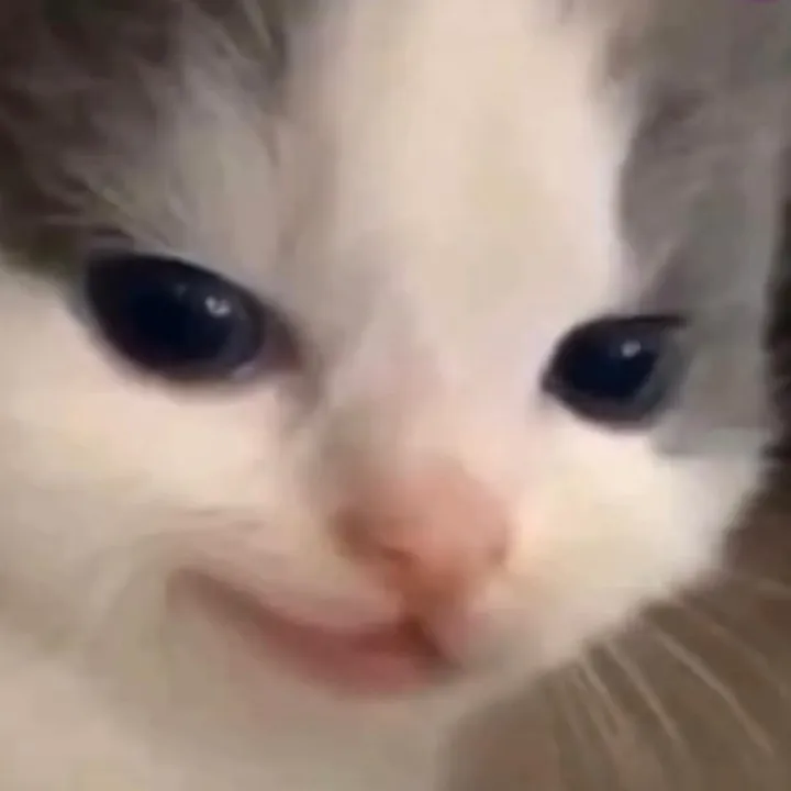 るいりん