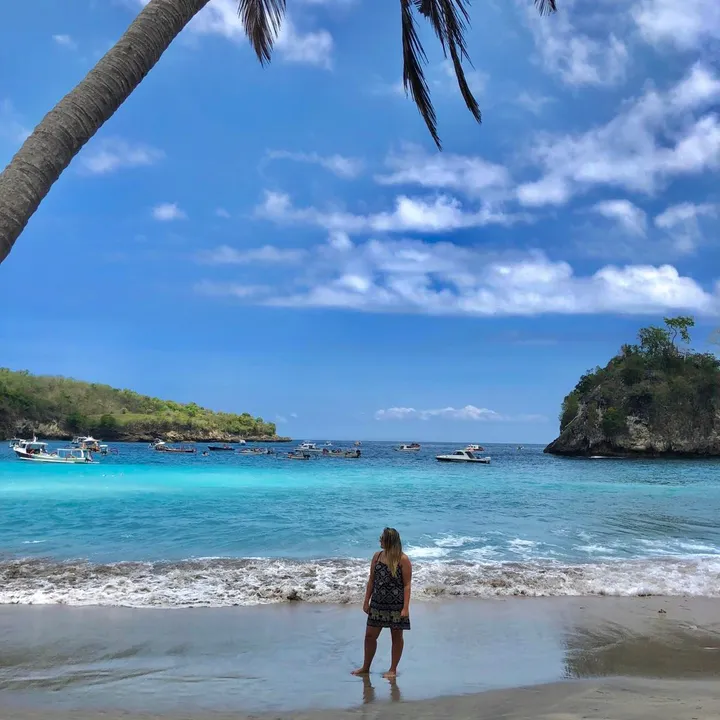 TheWanderingWriter 🌍✍️ NL