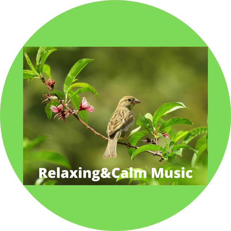Relaxing&Calm Music