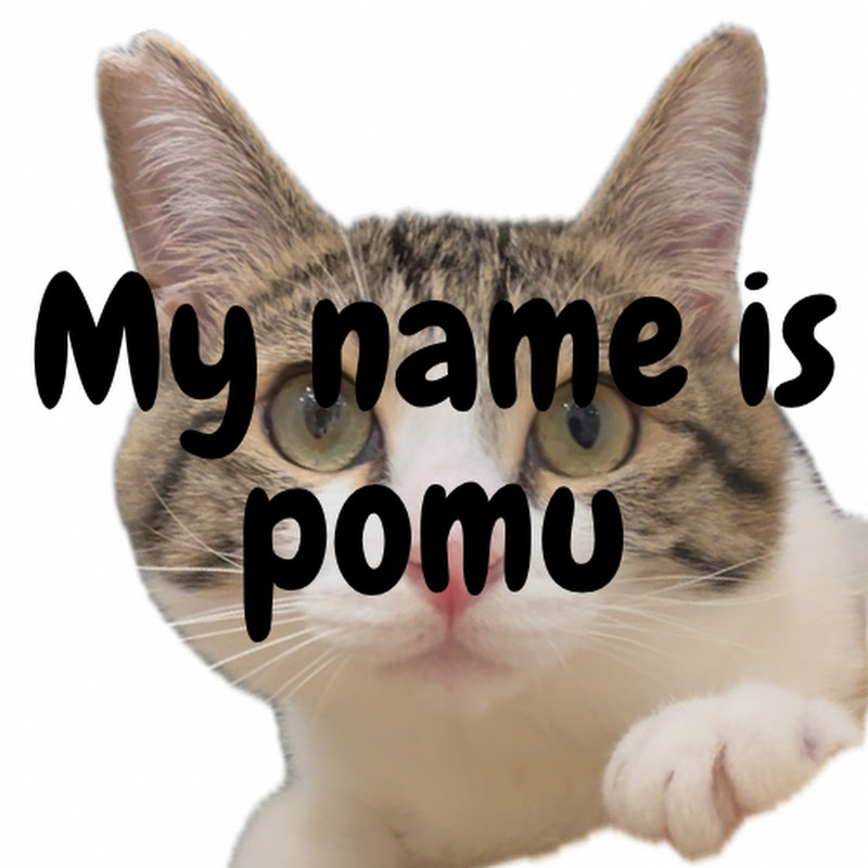 【保護猫】おろしぽんず