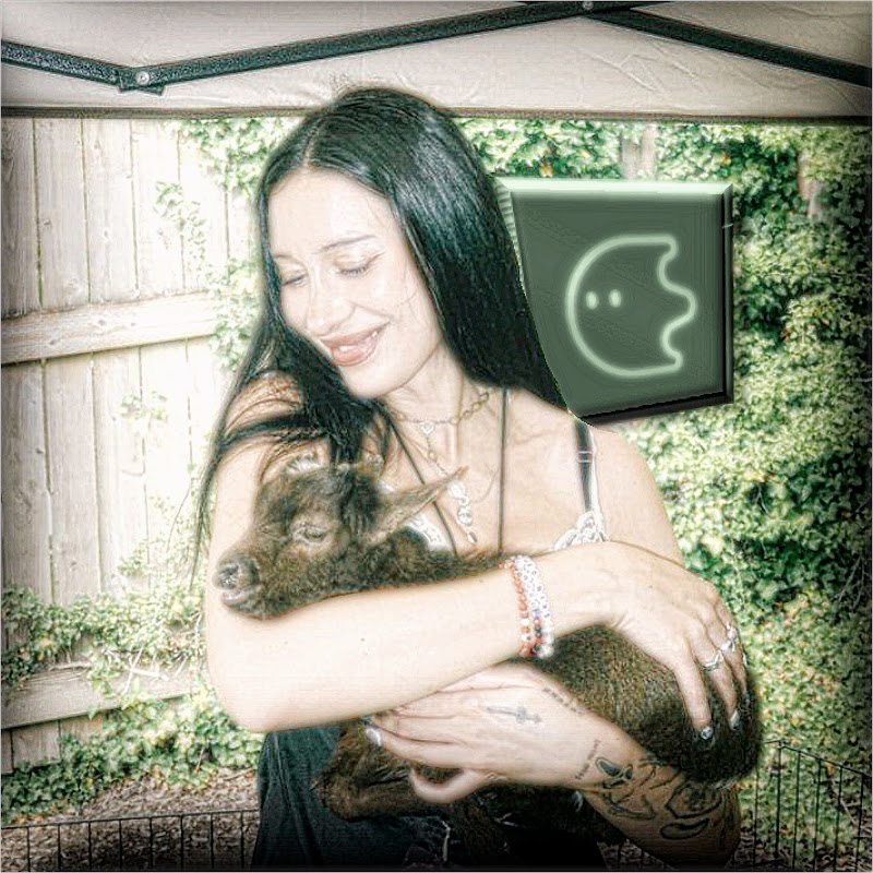 𝑷𝒆𝒂𝒄𝒉