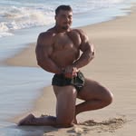 Simão Francisco Lameiro