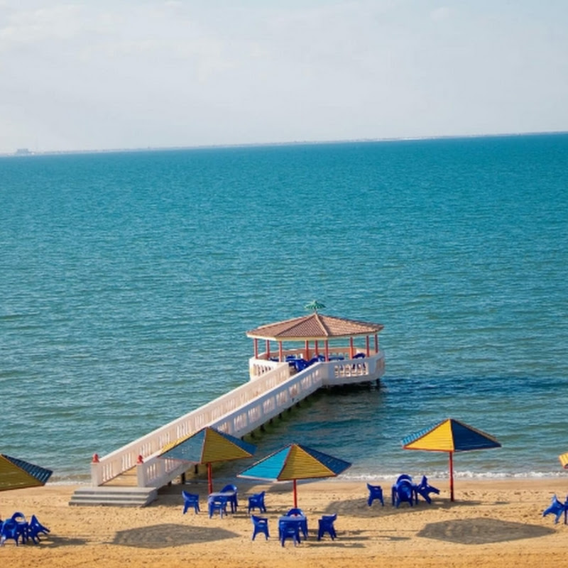 Moments of Nature | لحظات الطبيعة