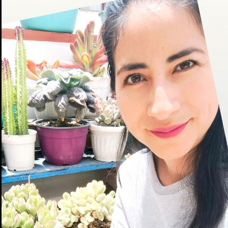 Liz Tejada | The green house 💚