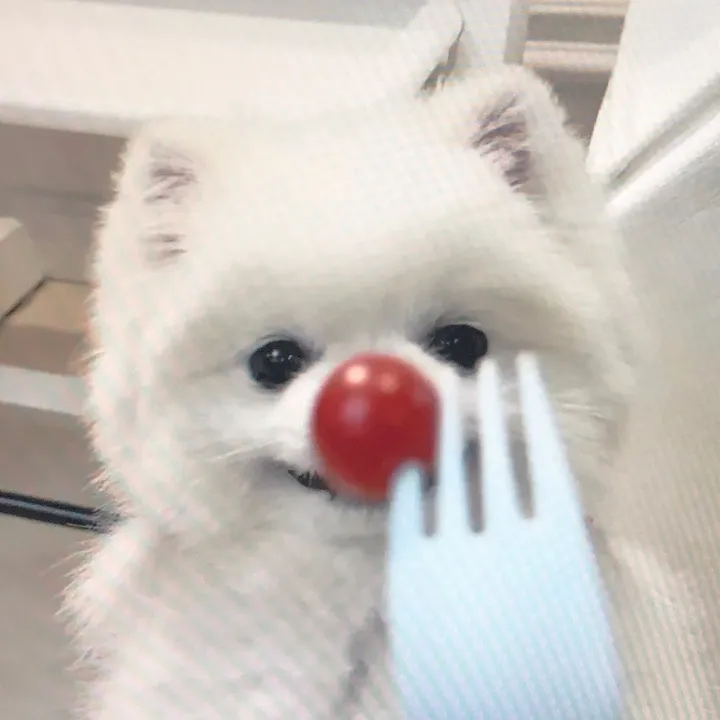 cegjgtttzzz