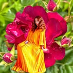 Megan Zietz 🌸 Colorful Content & Interior Design